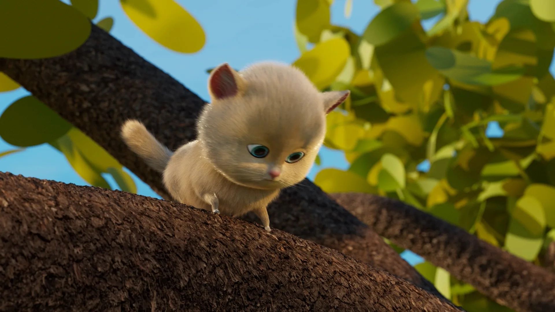 Still from Turkish Citrus Team